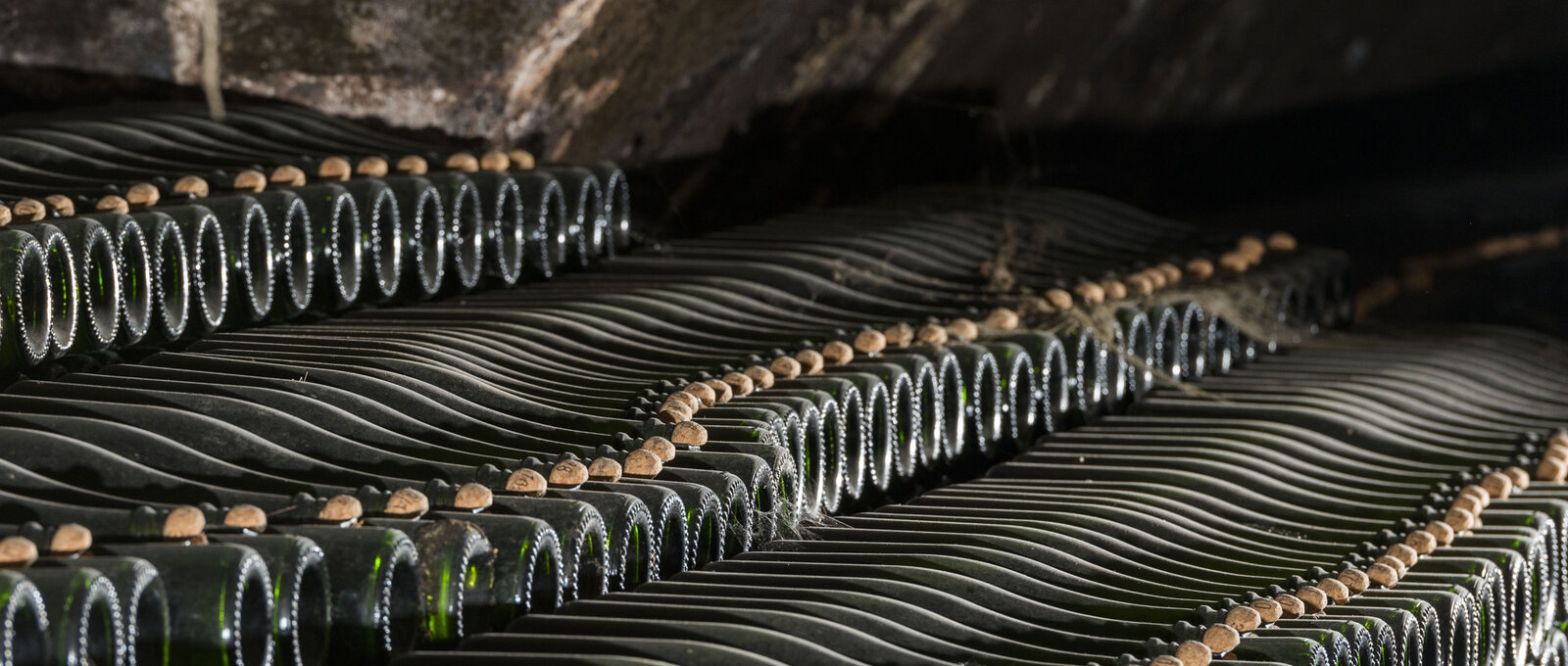 Verkostung Schaumwein in Bern
