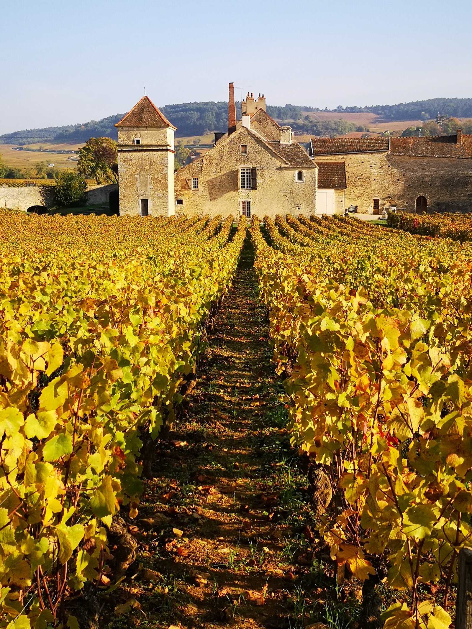 Die Winzer von Clos du Moulin aux Moines