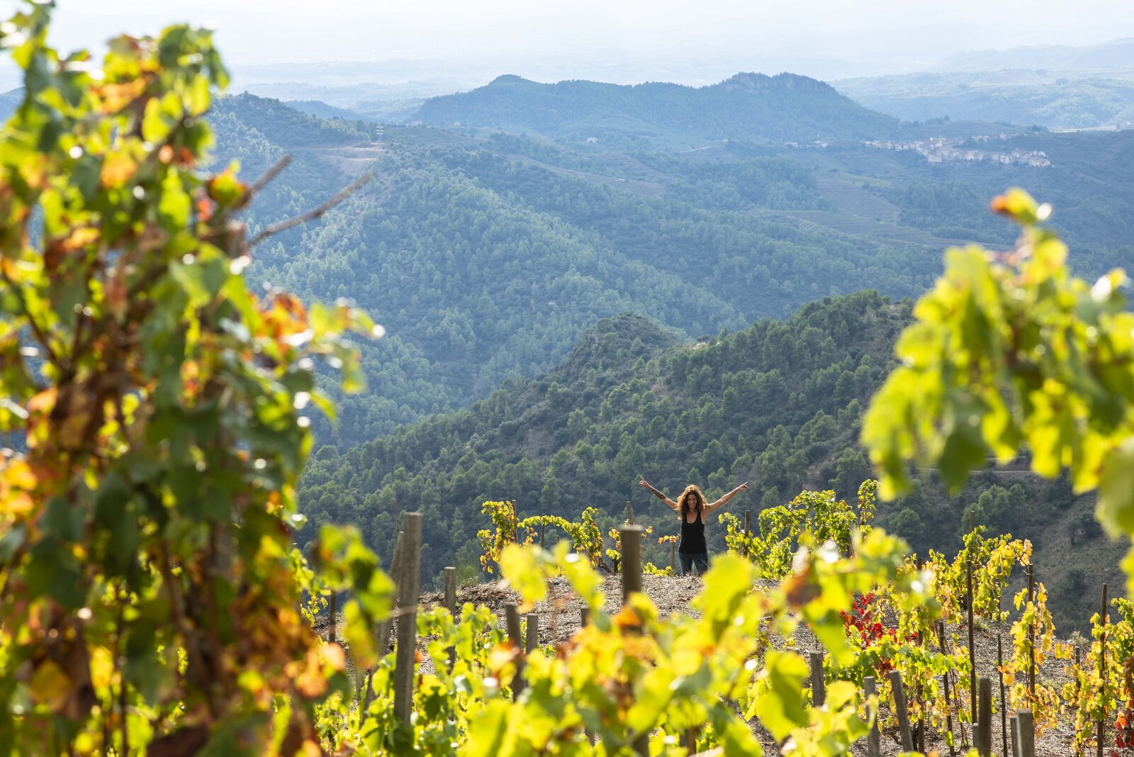 Weingut Mas Martinet