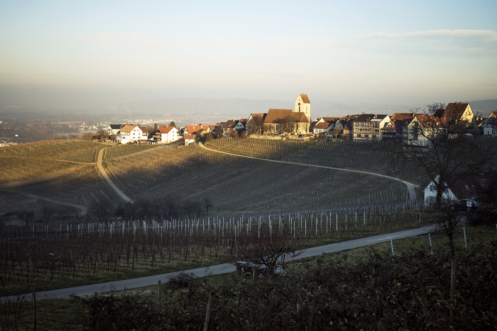 Weingut Claus Schneider