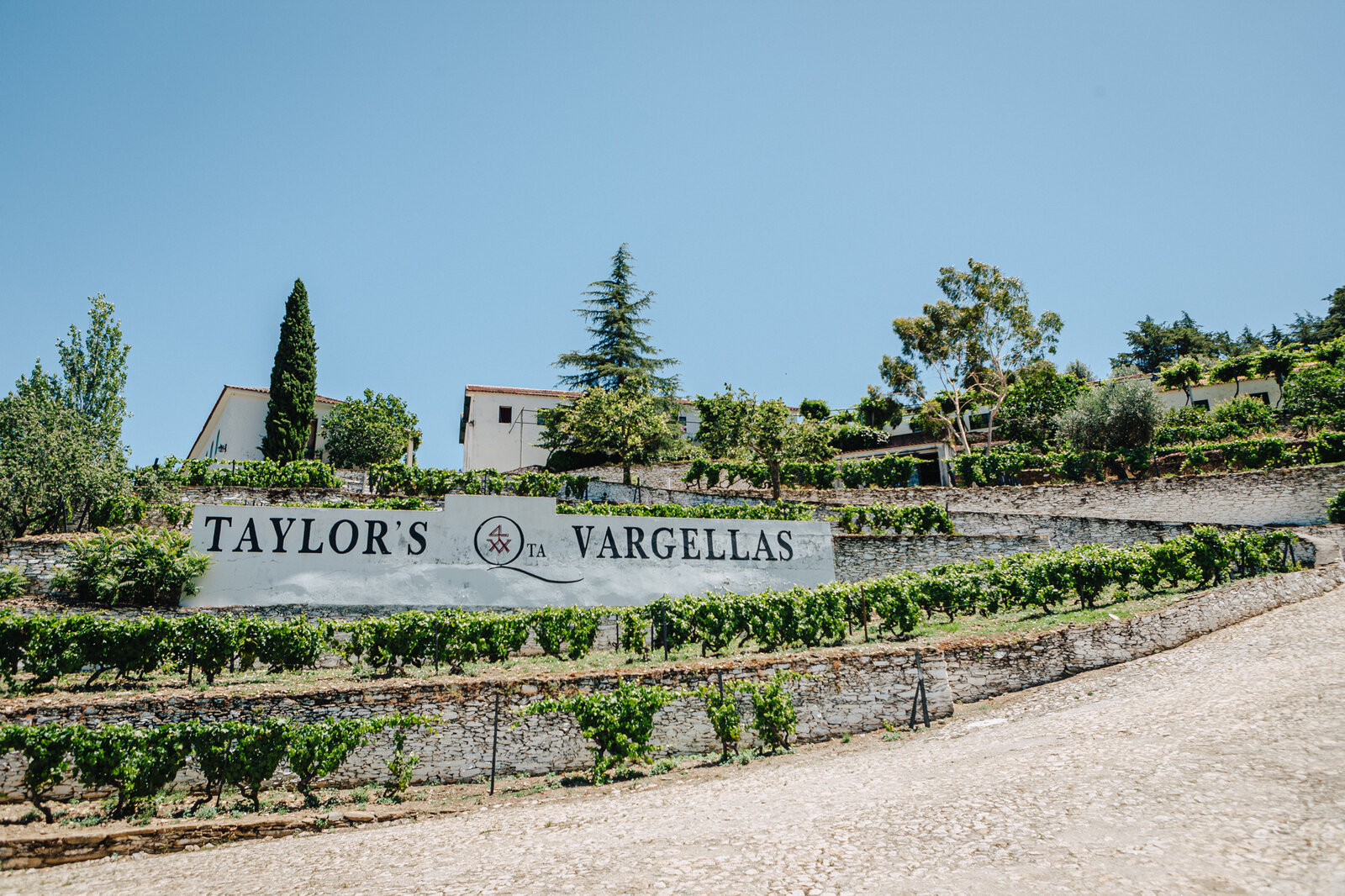 Weingut Taylor