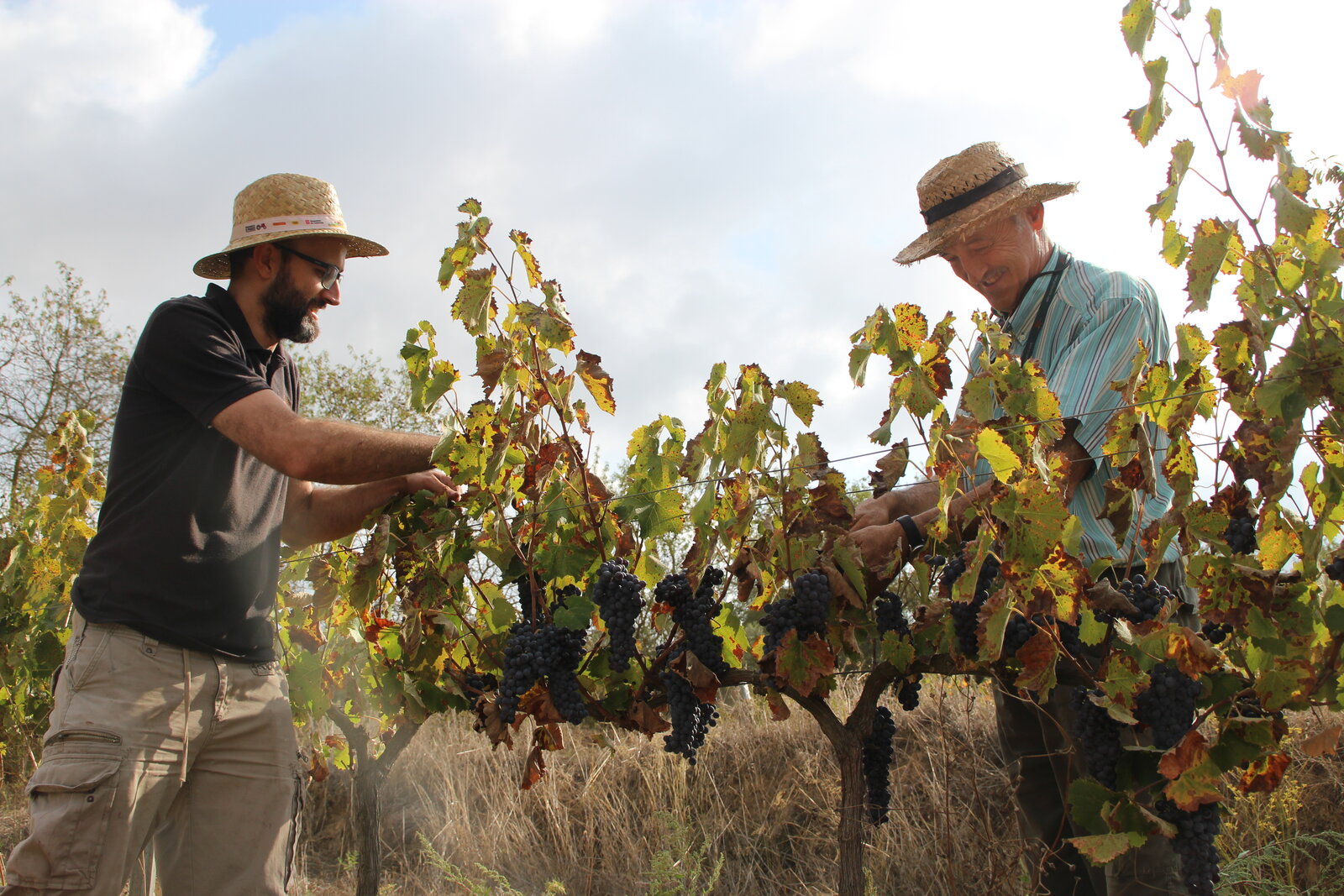 Weingut Can Suriol del Castell