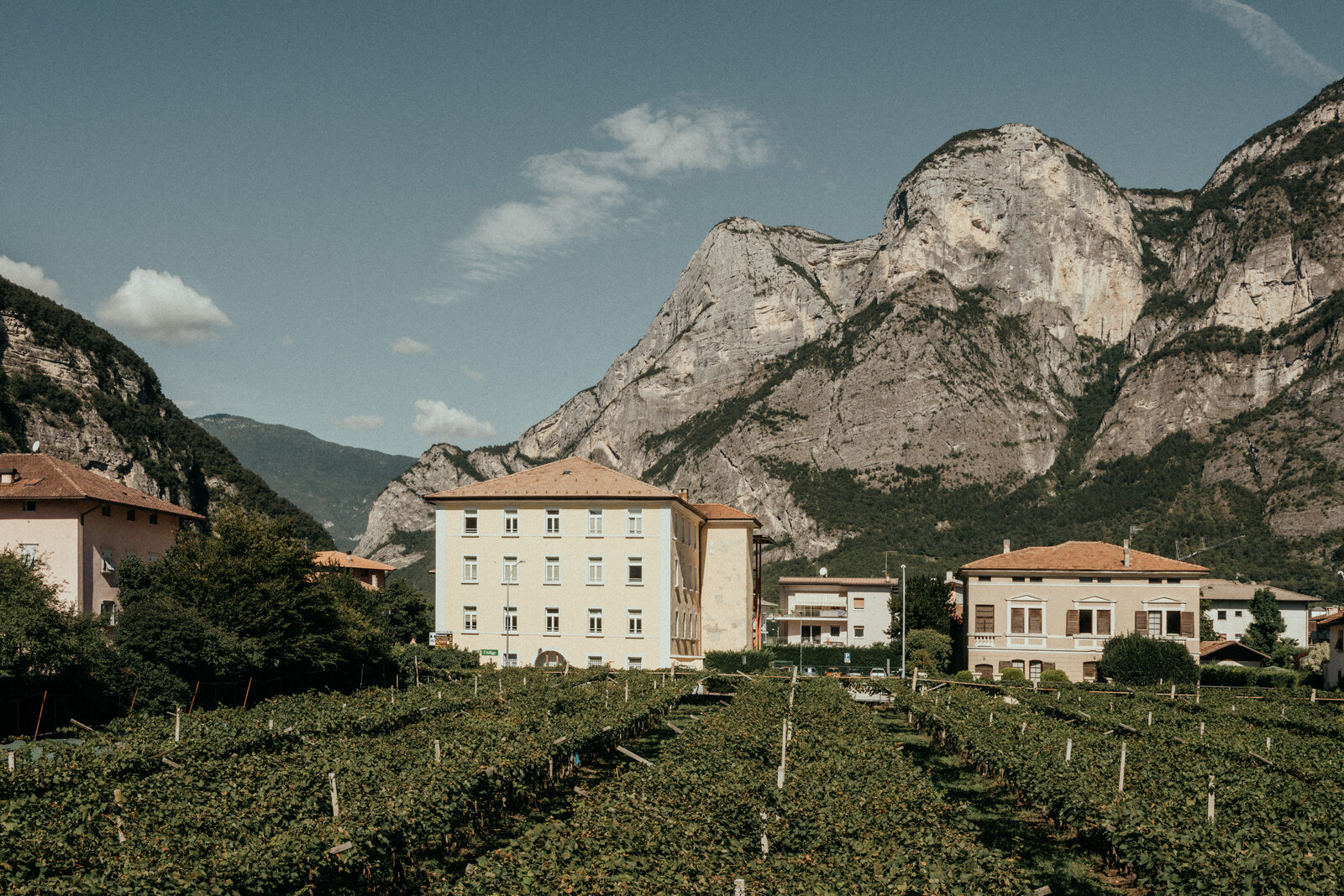 Weingut Foradori