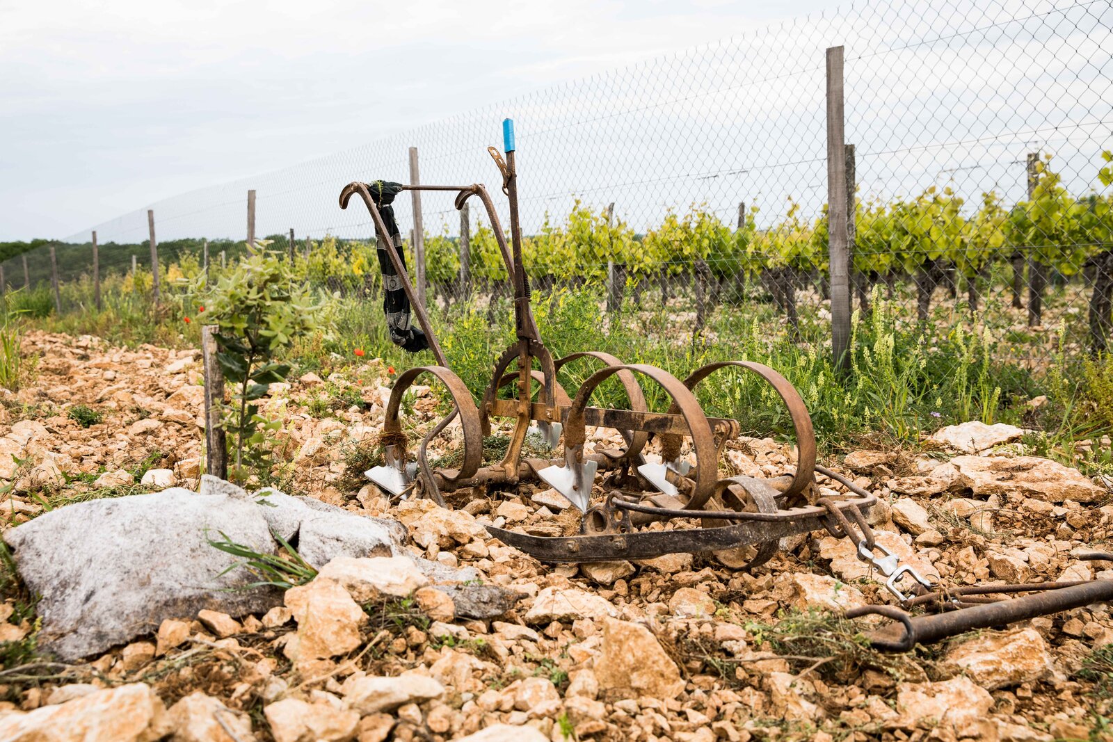 Weingut Mas del Périé