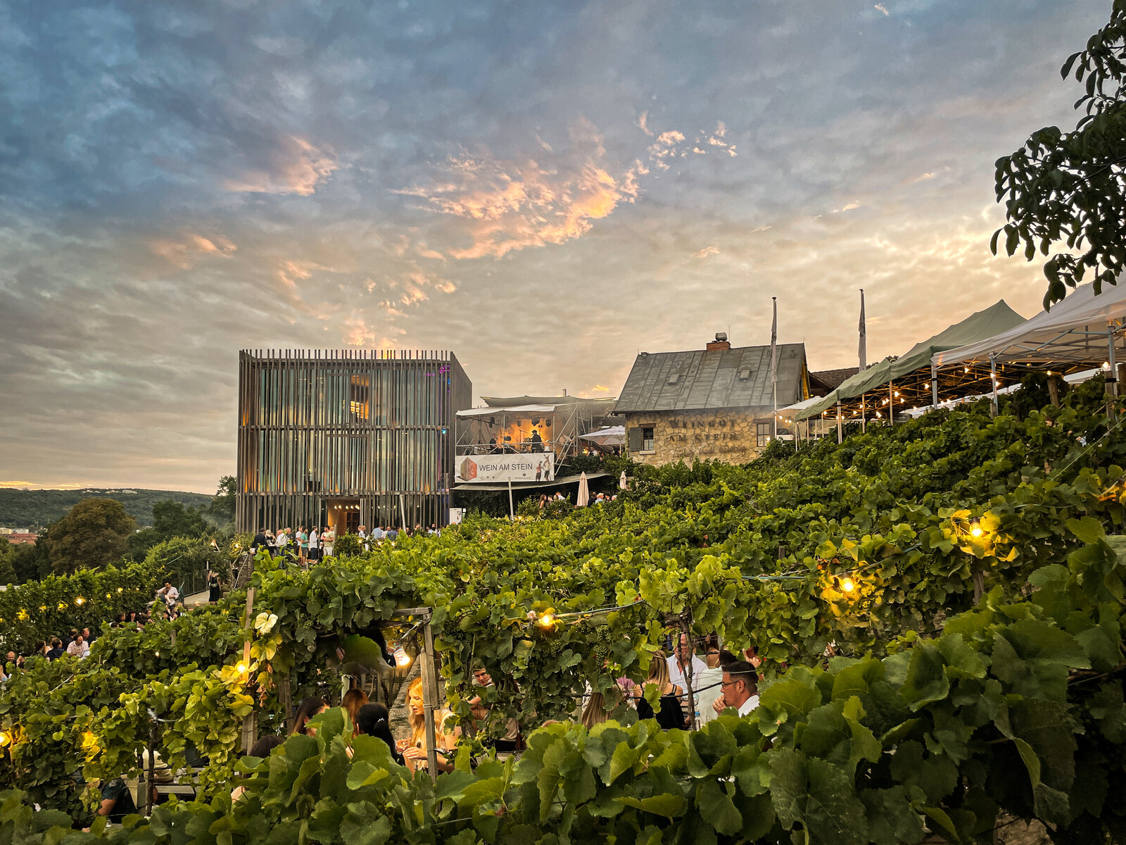 Produzent Weingut am Stein