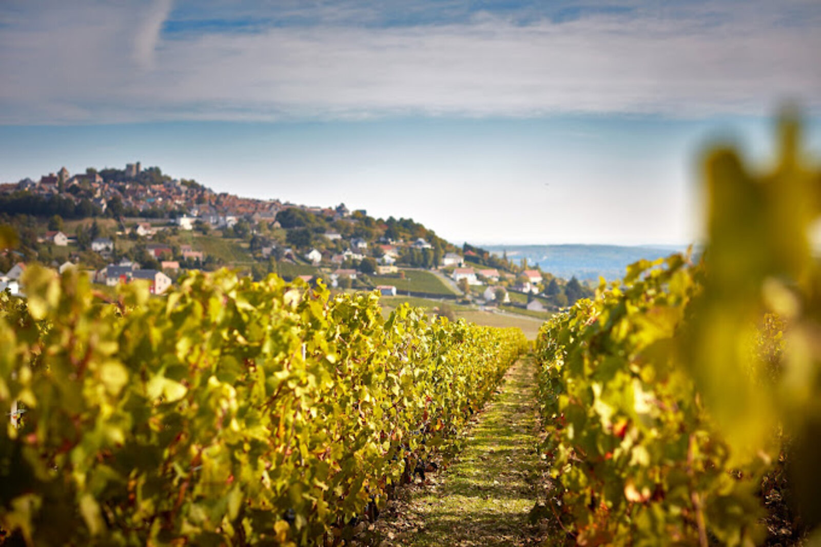 Weingut Vacheron