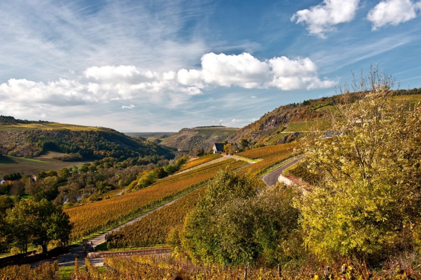 Weingut Gut Hermannsberg