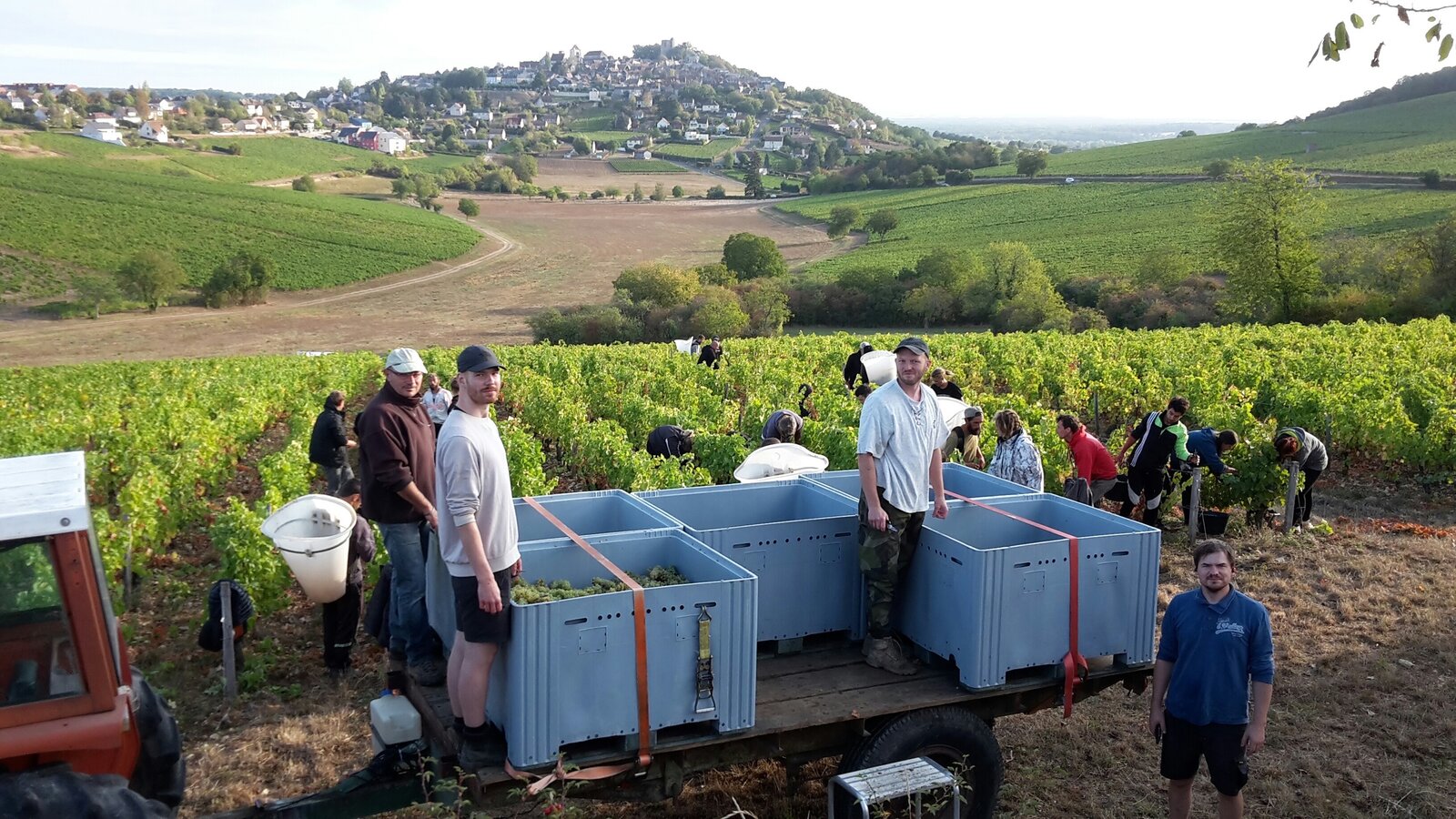 Produzent Domaine Sébastien Riffault