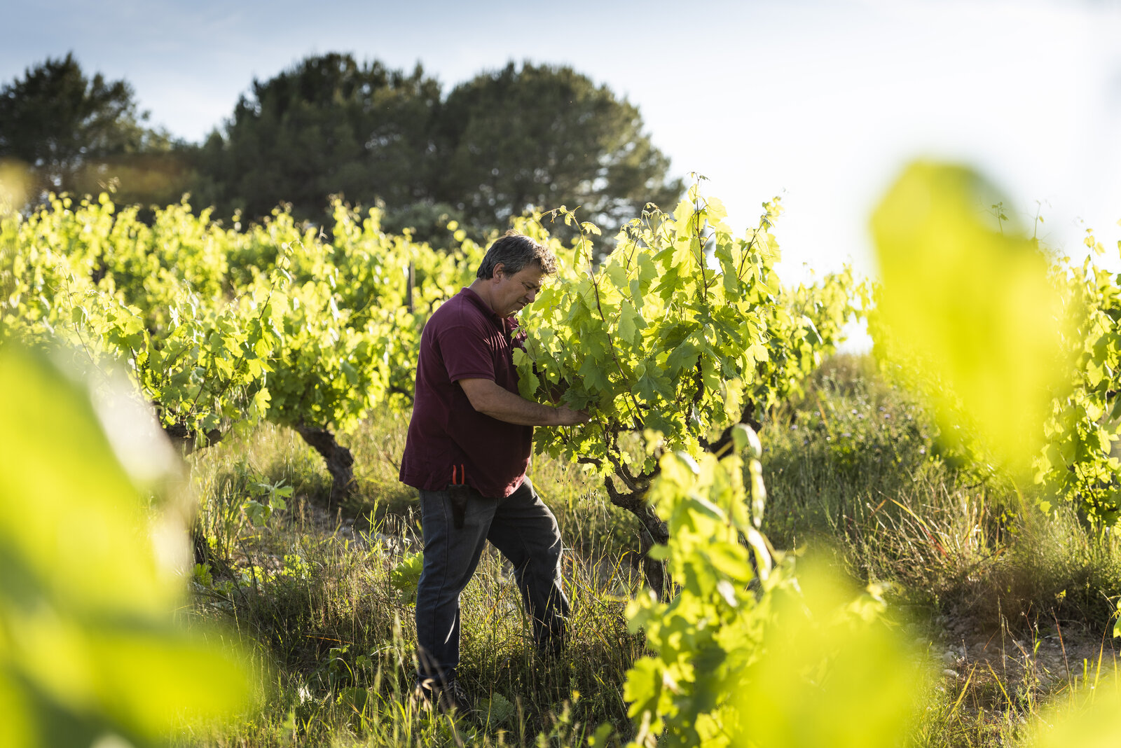 Weingut Ca N'Estruc