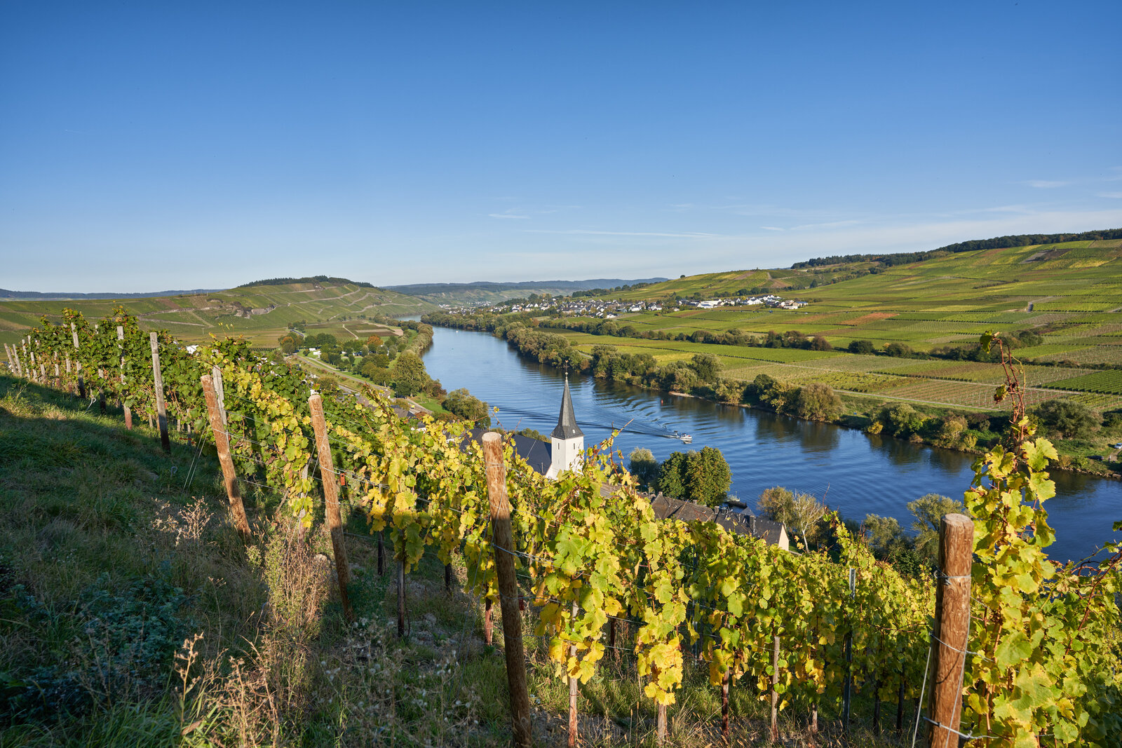 Weingut Bastgen