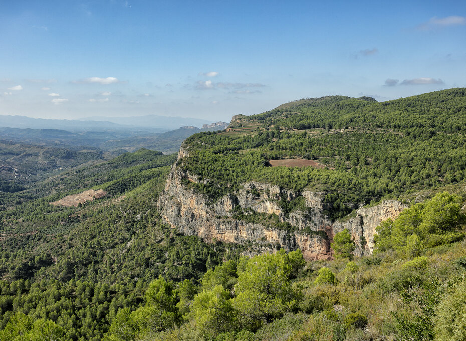 Terroir al Límit