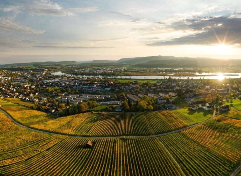 Weingut zum Sternen