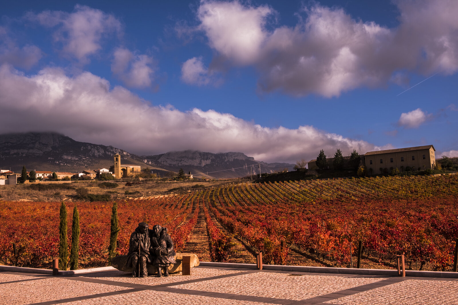 Terroir von Viñedos de Páganos