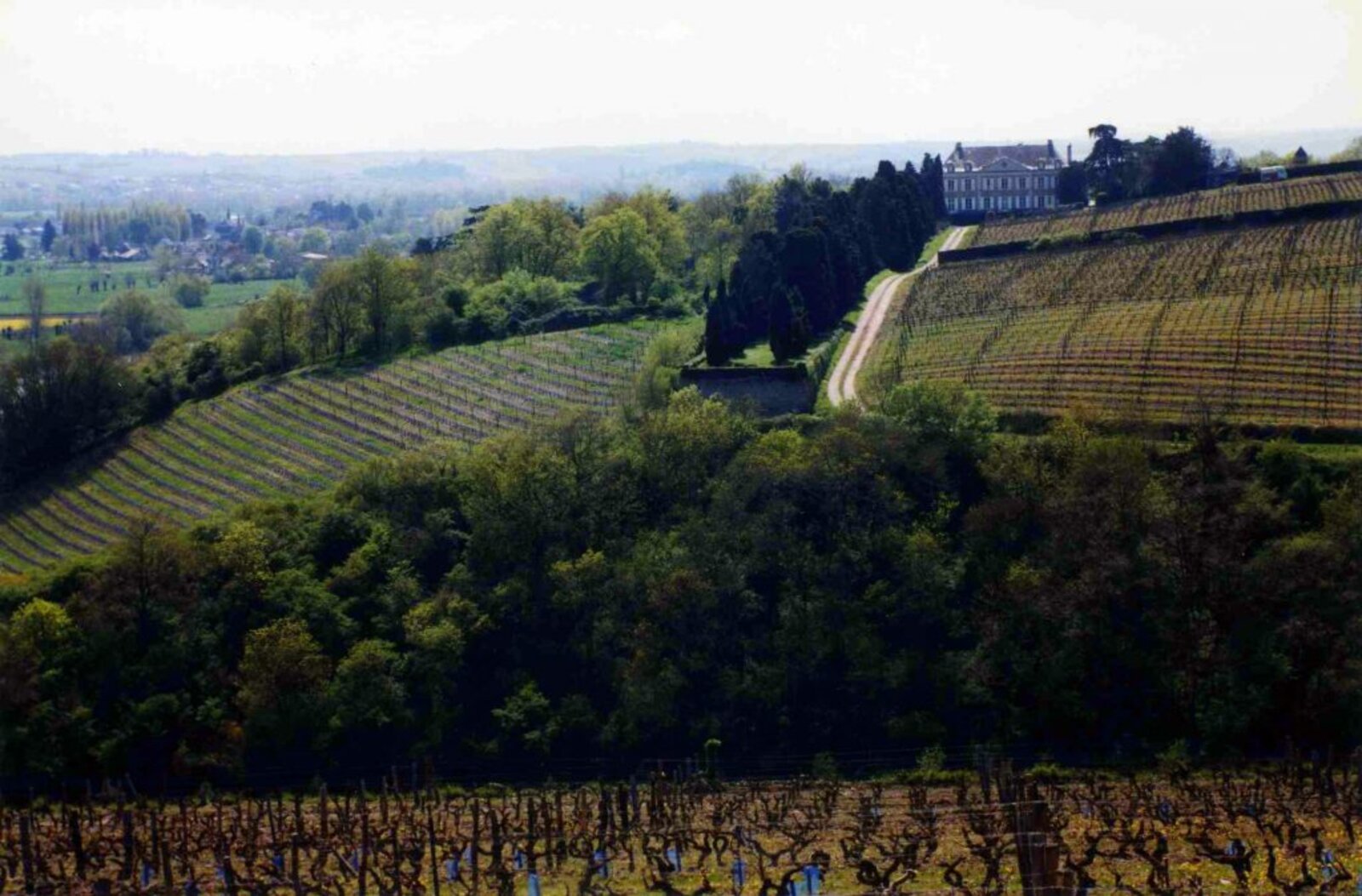 La Coulée de Serrant Terroir