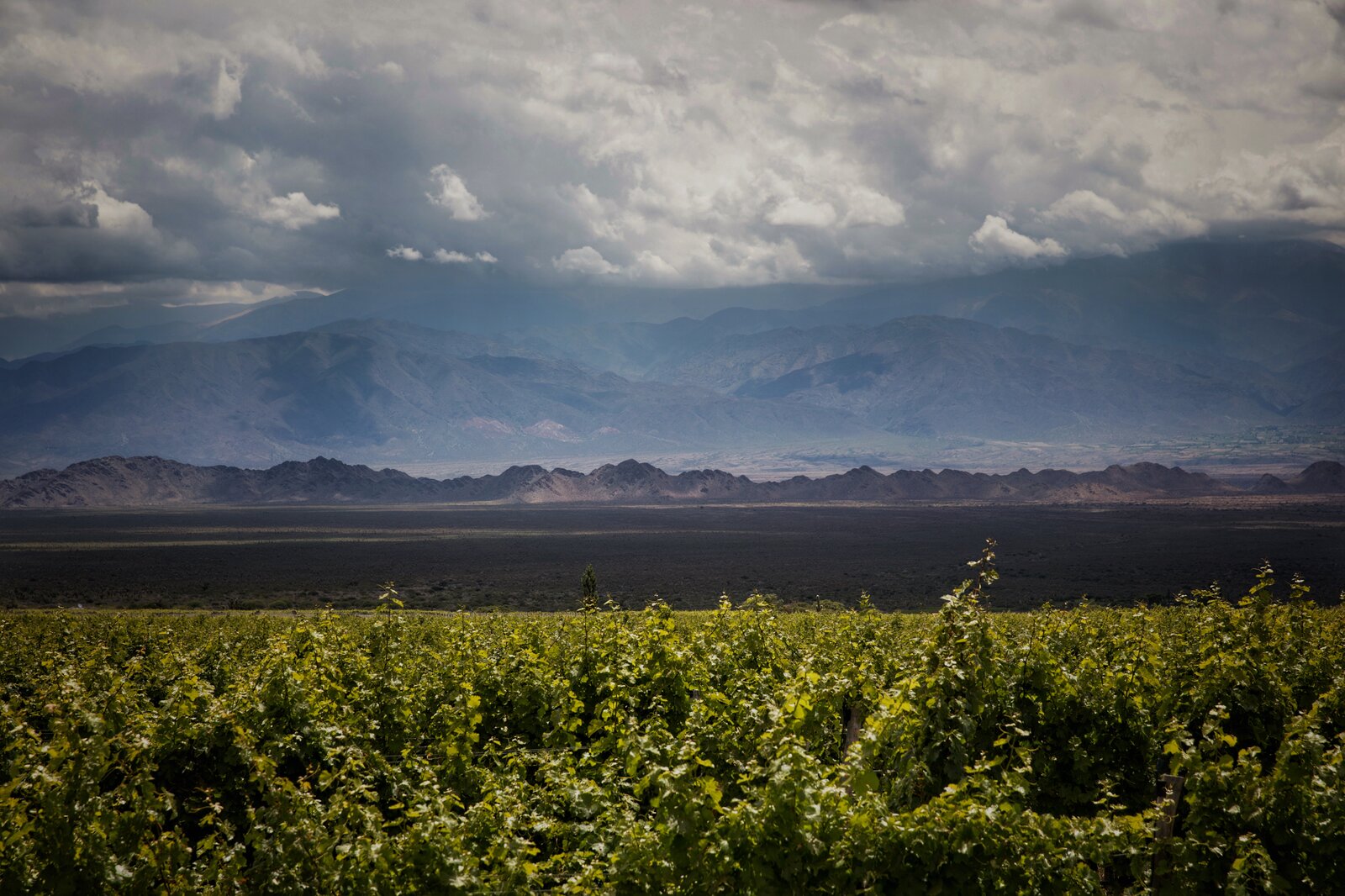 Terroir Bodega Colomé