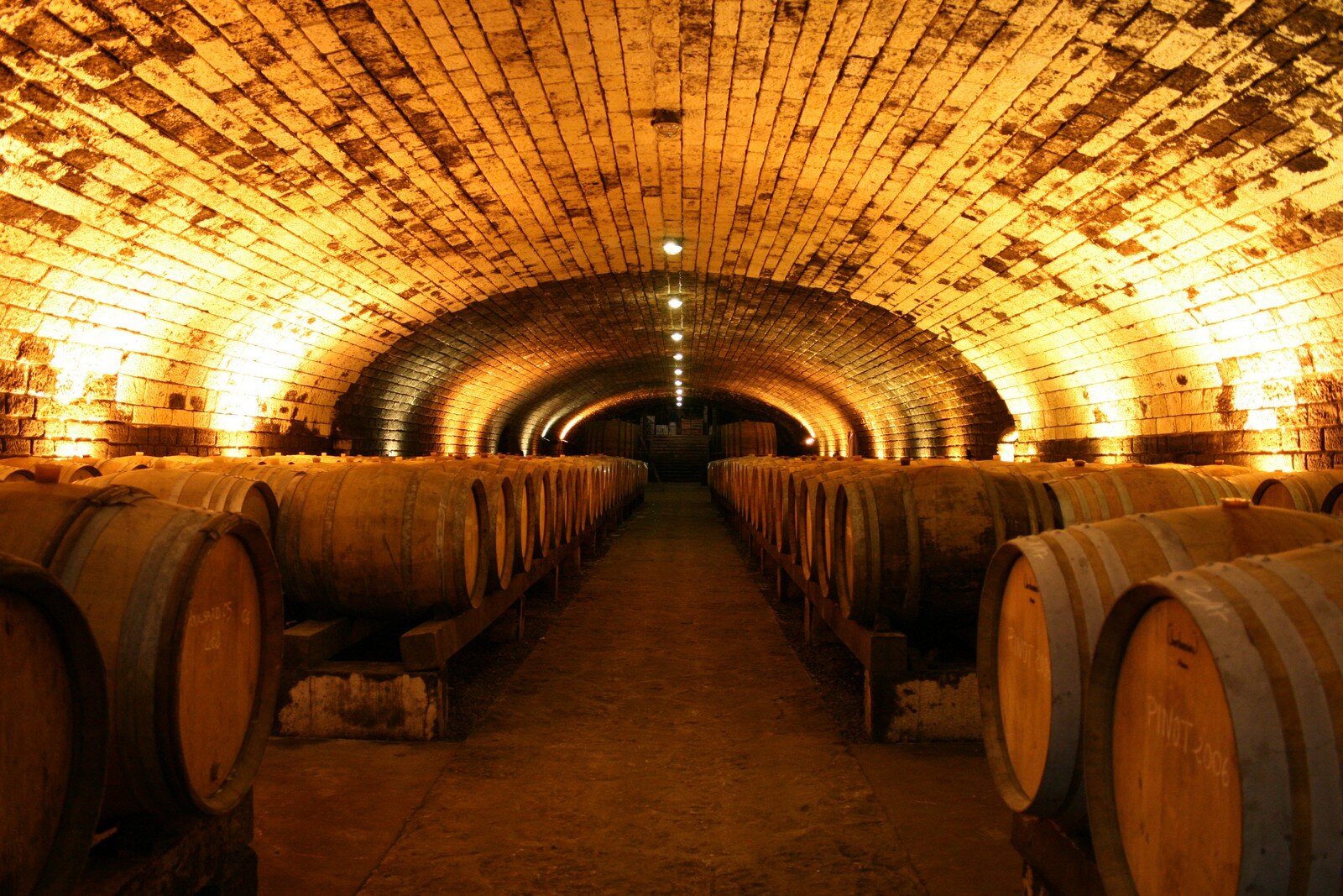 Terroir Domaine de la Pinte