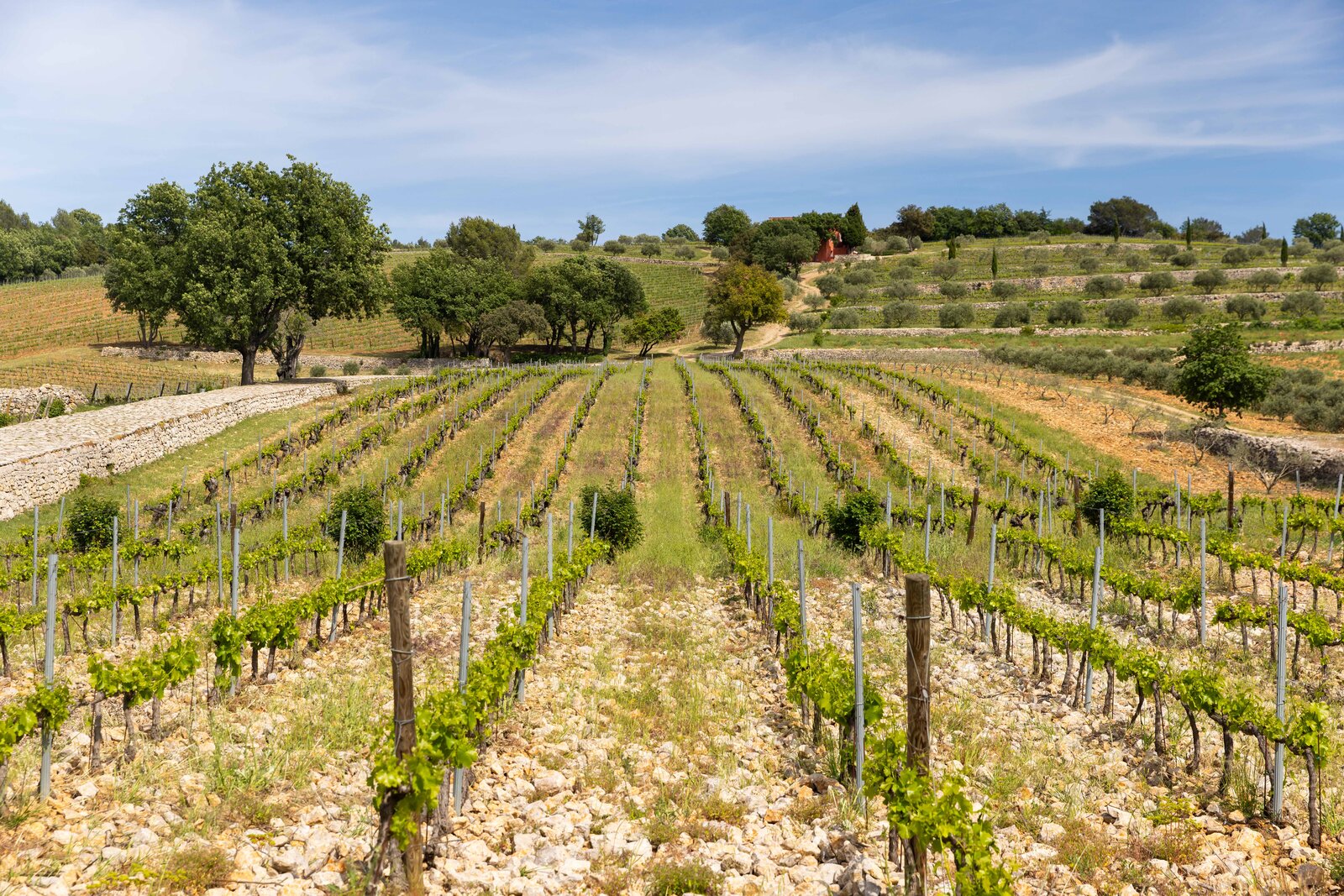 Terroir Château La Mascaronne