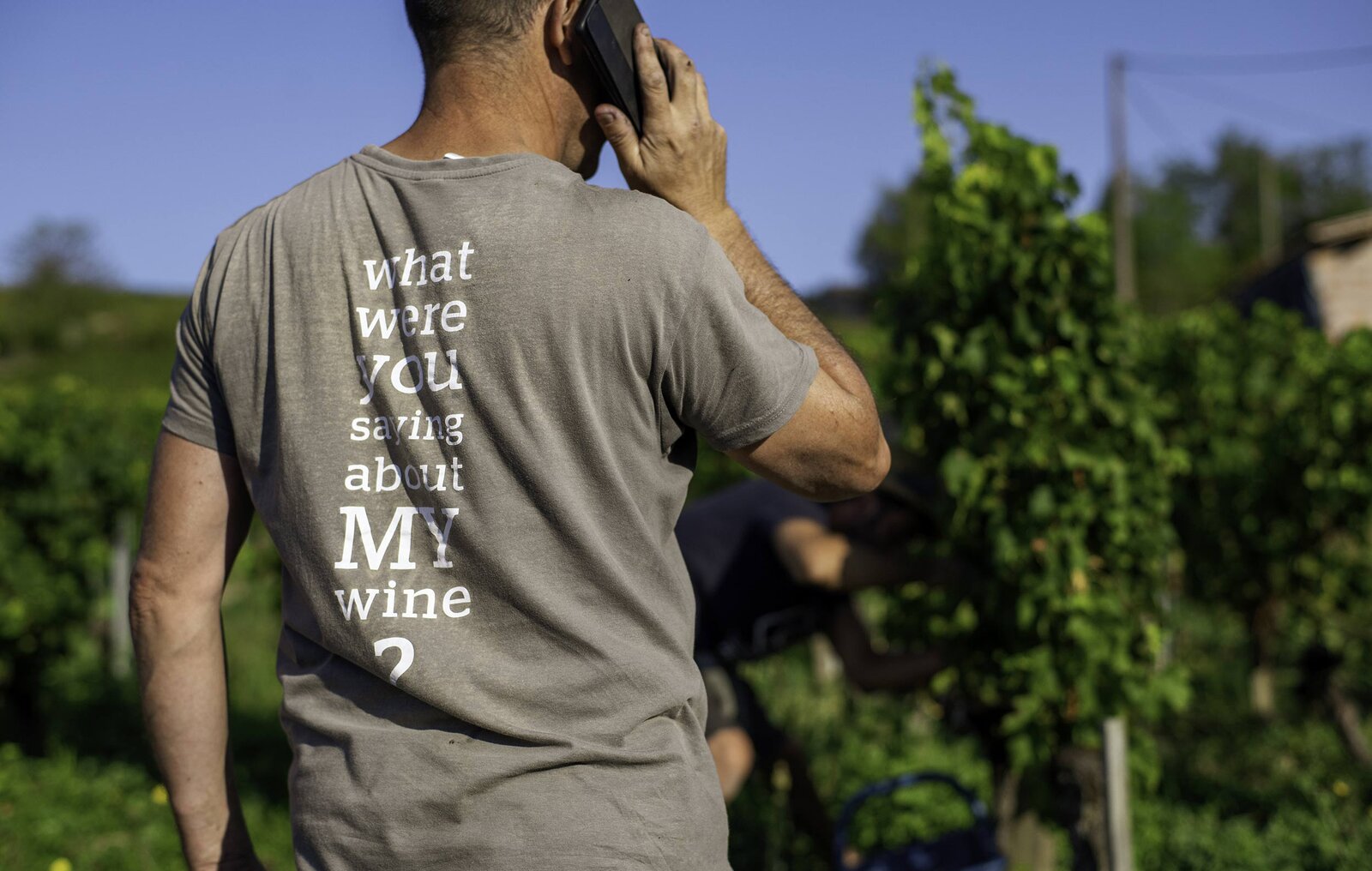 Terroir Domaine Jean-Yves Millaire