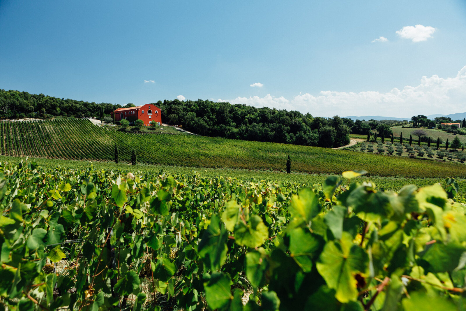 Terroir Caiarossa