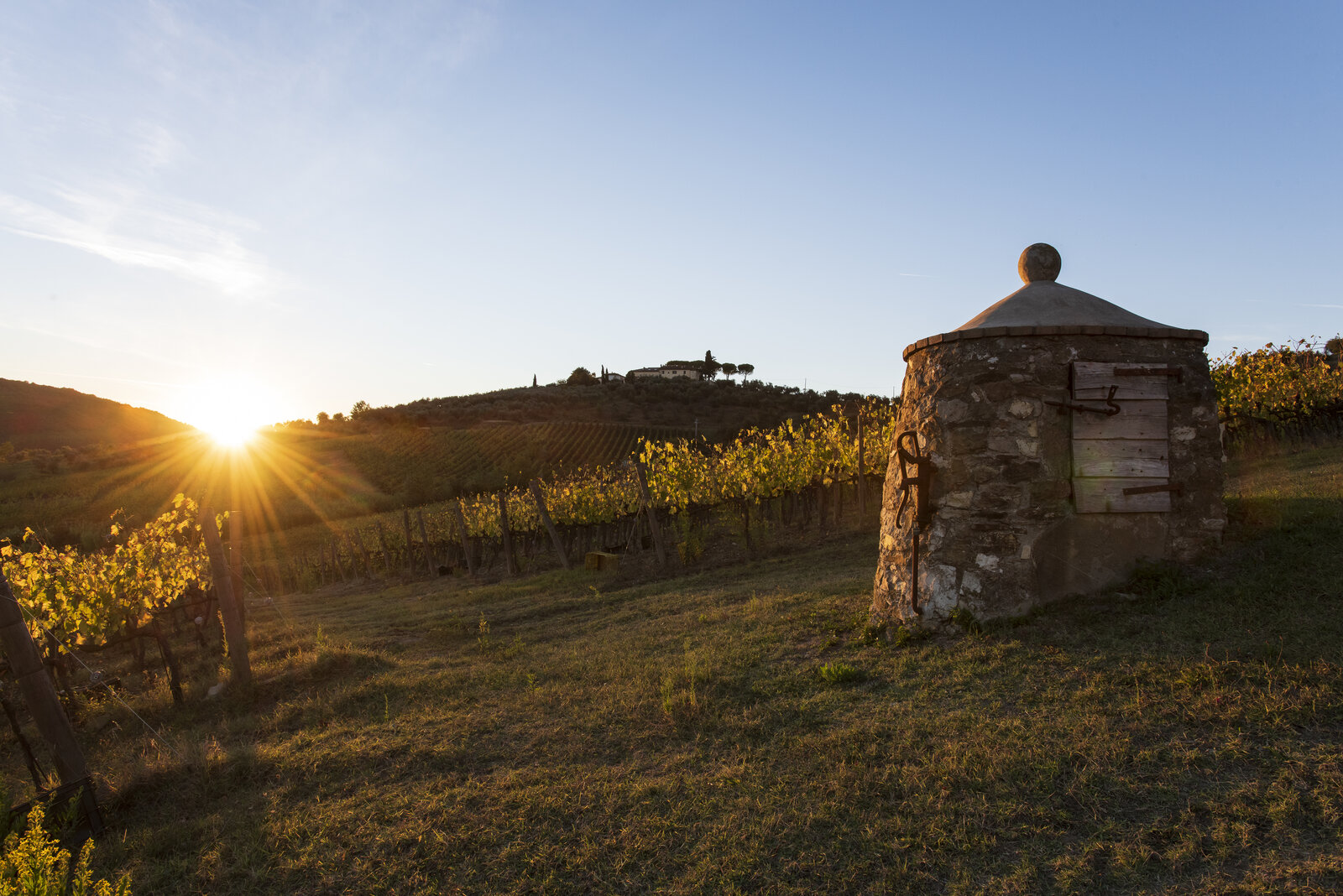 Terroir I Veroni