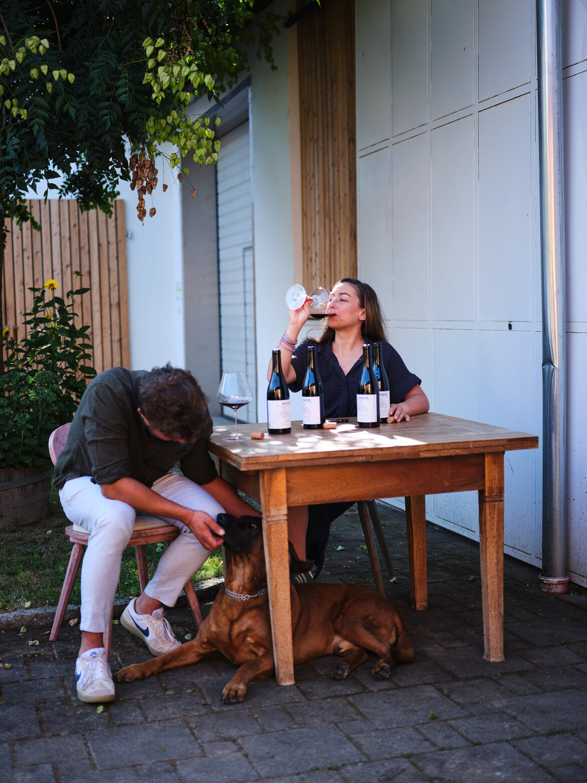 VINS DE SOIF 