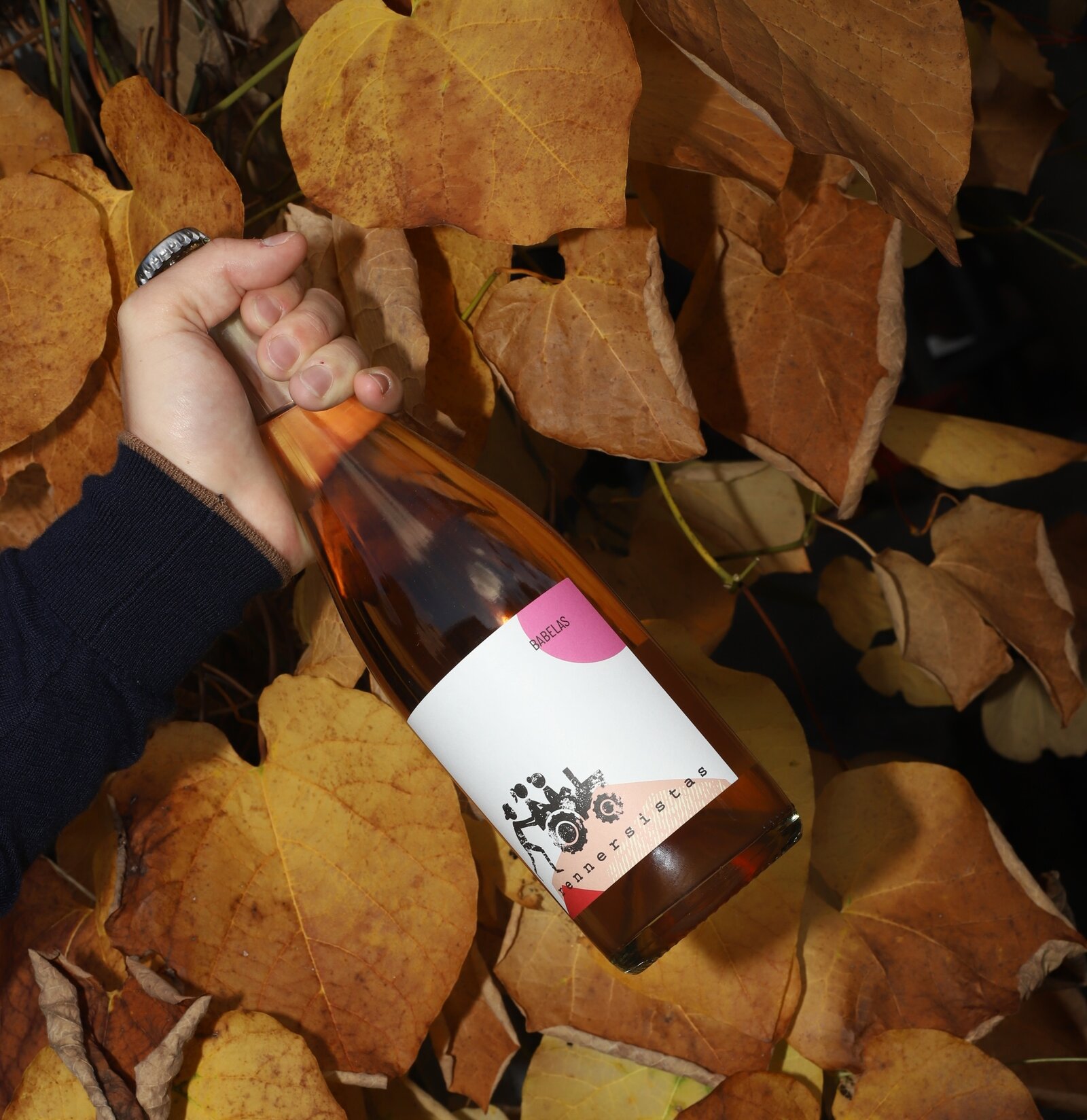 Rennersistas Herbst