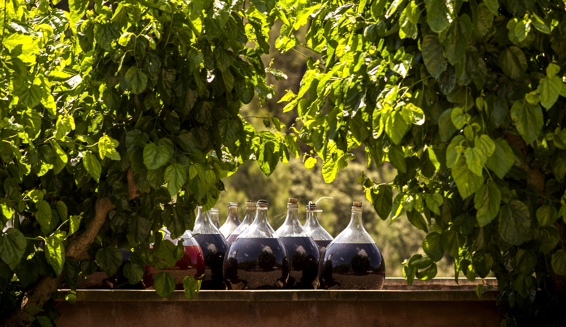 Webshop Wine & Spirits