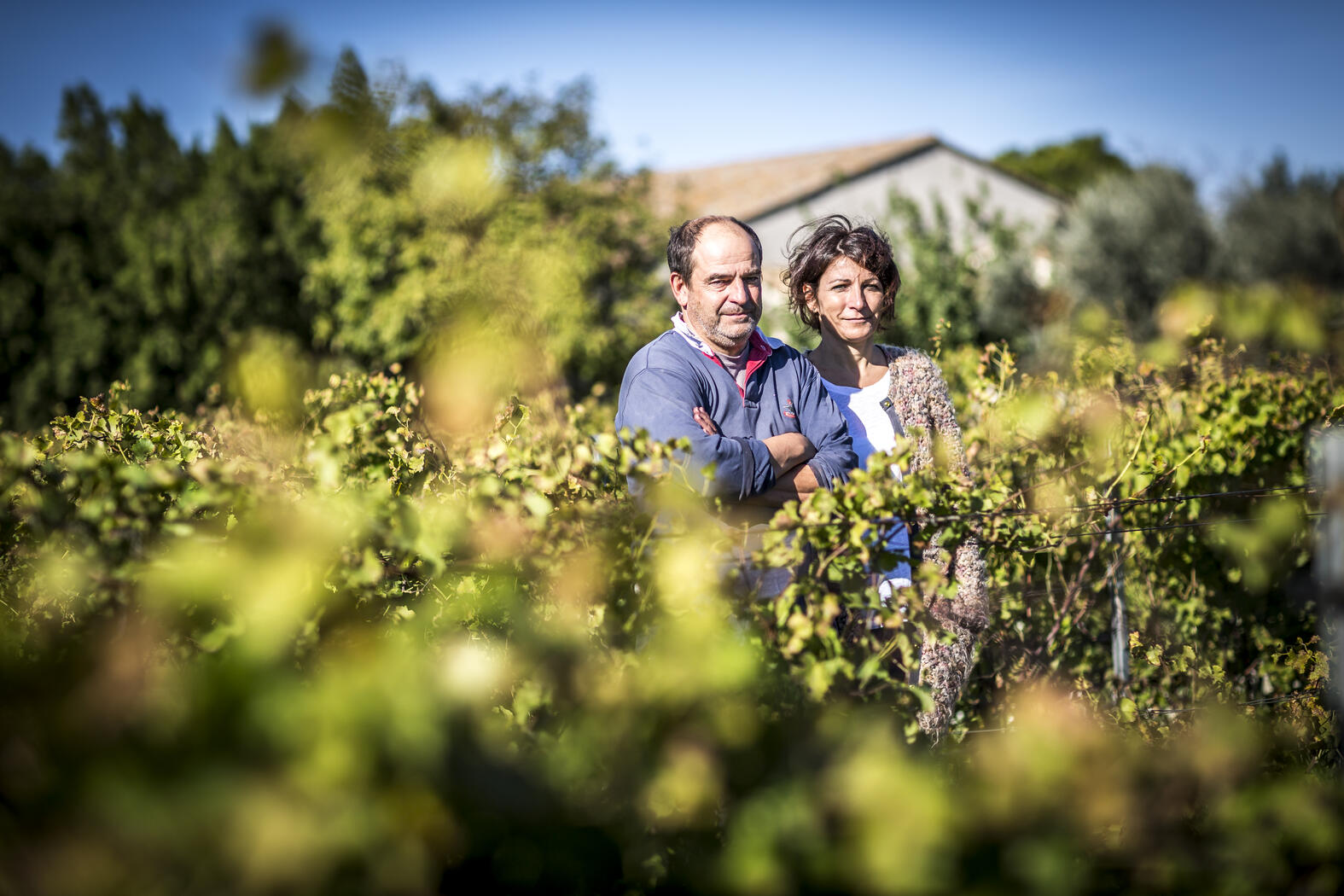 Terroir von Domaine de la Janasse