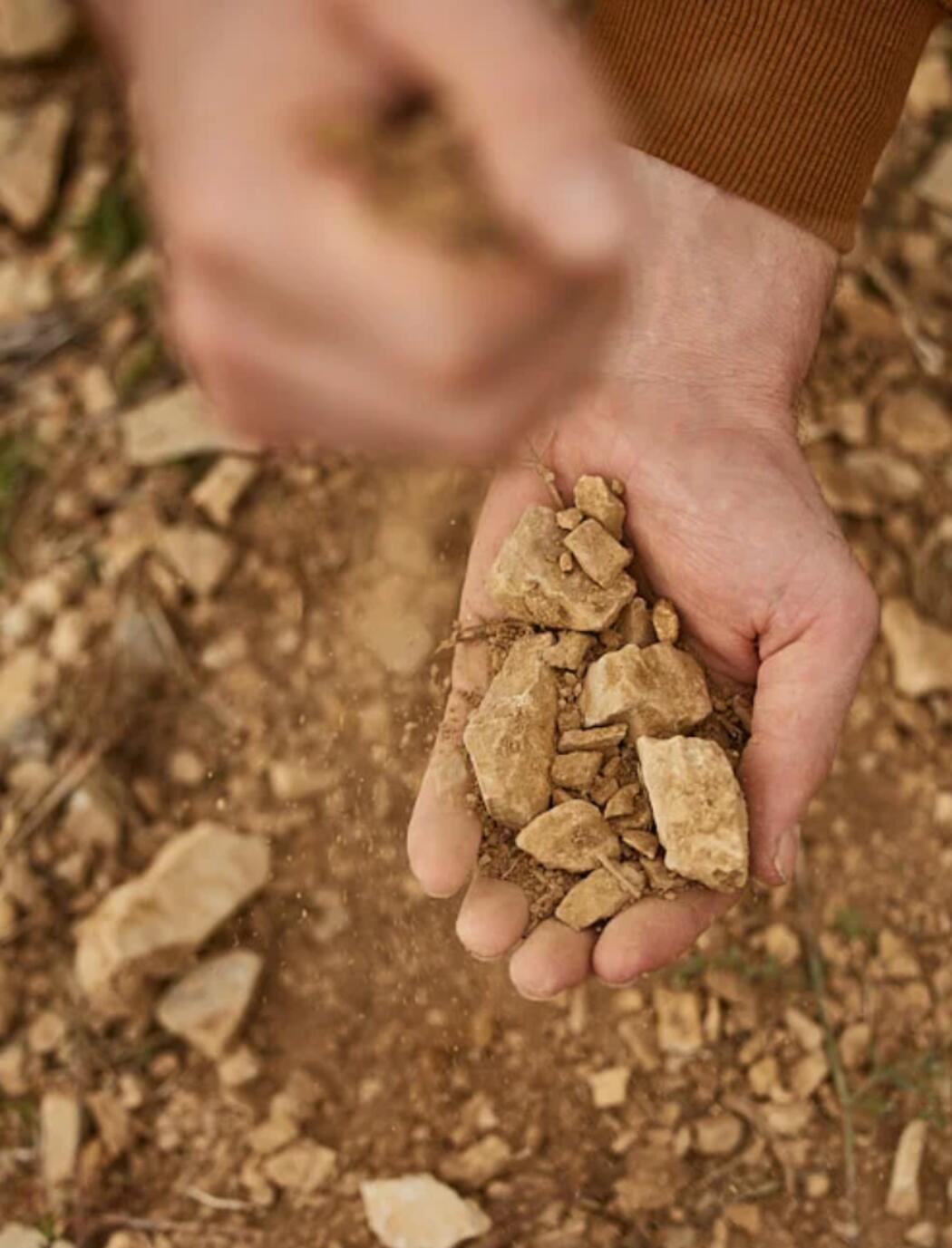 Terroir Deux Frères