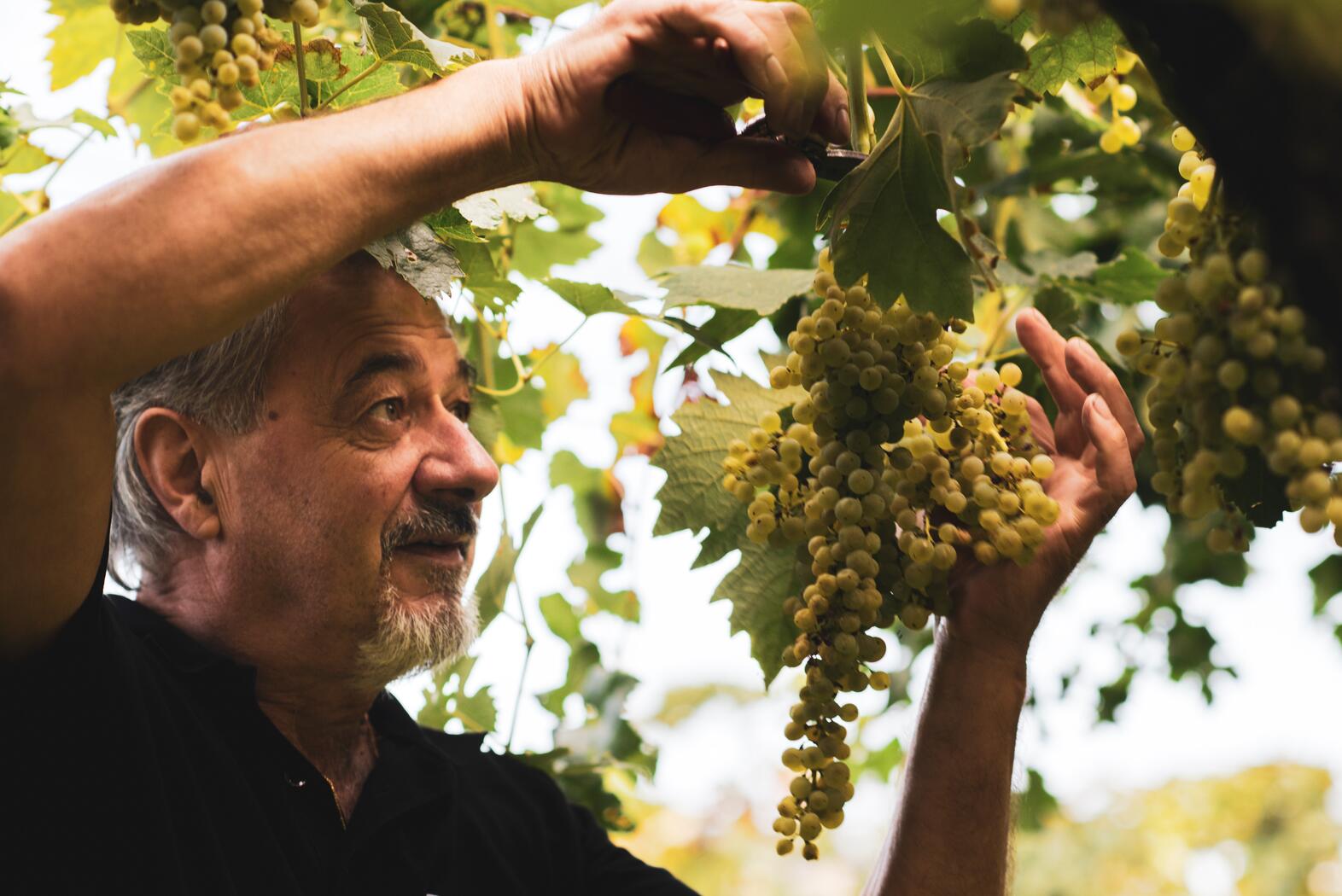 Terroir Fasoli Gino