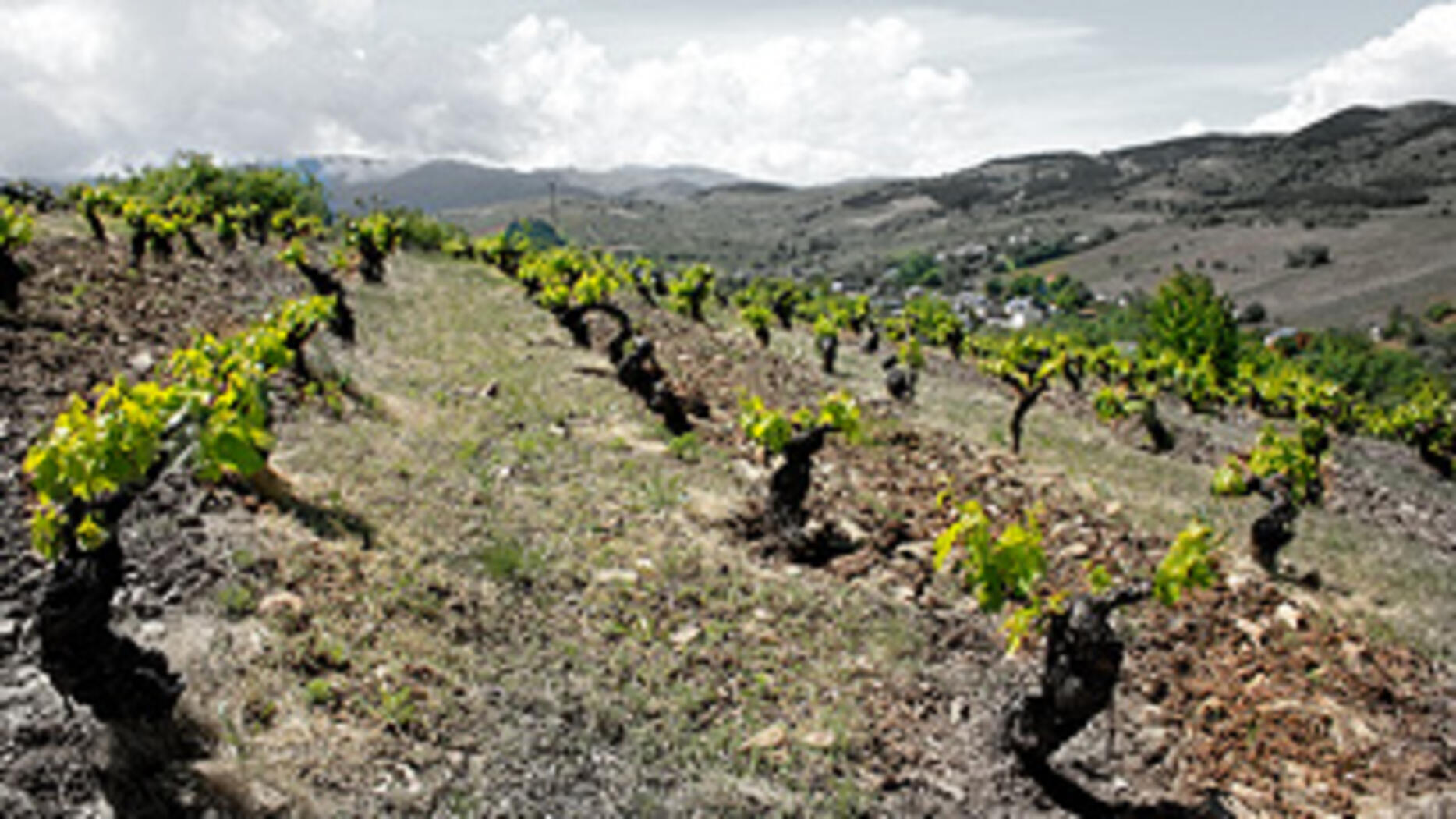 Terroir Bodega Akilia