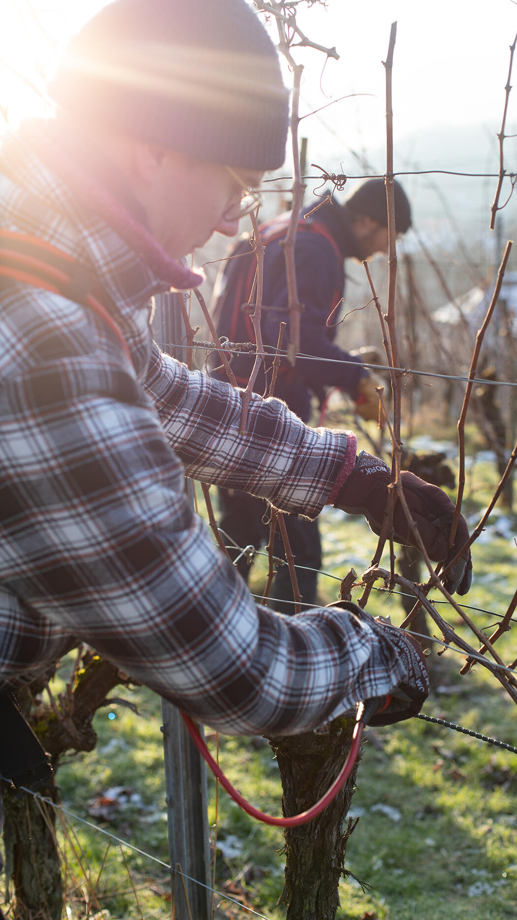 Terroir HerterWein