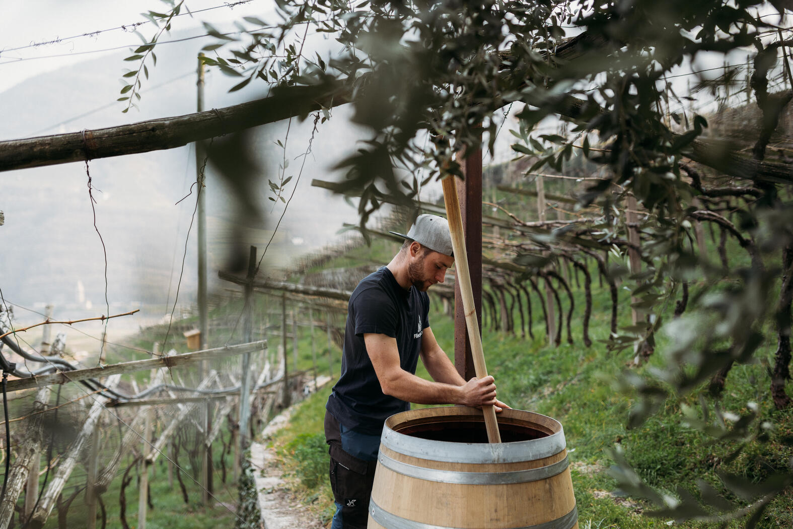 biodynamie-fliederhof