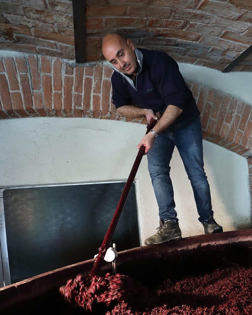 Winzer Fabio Allesandria