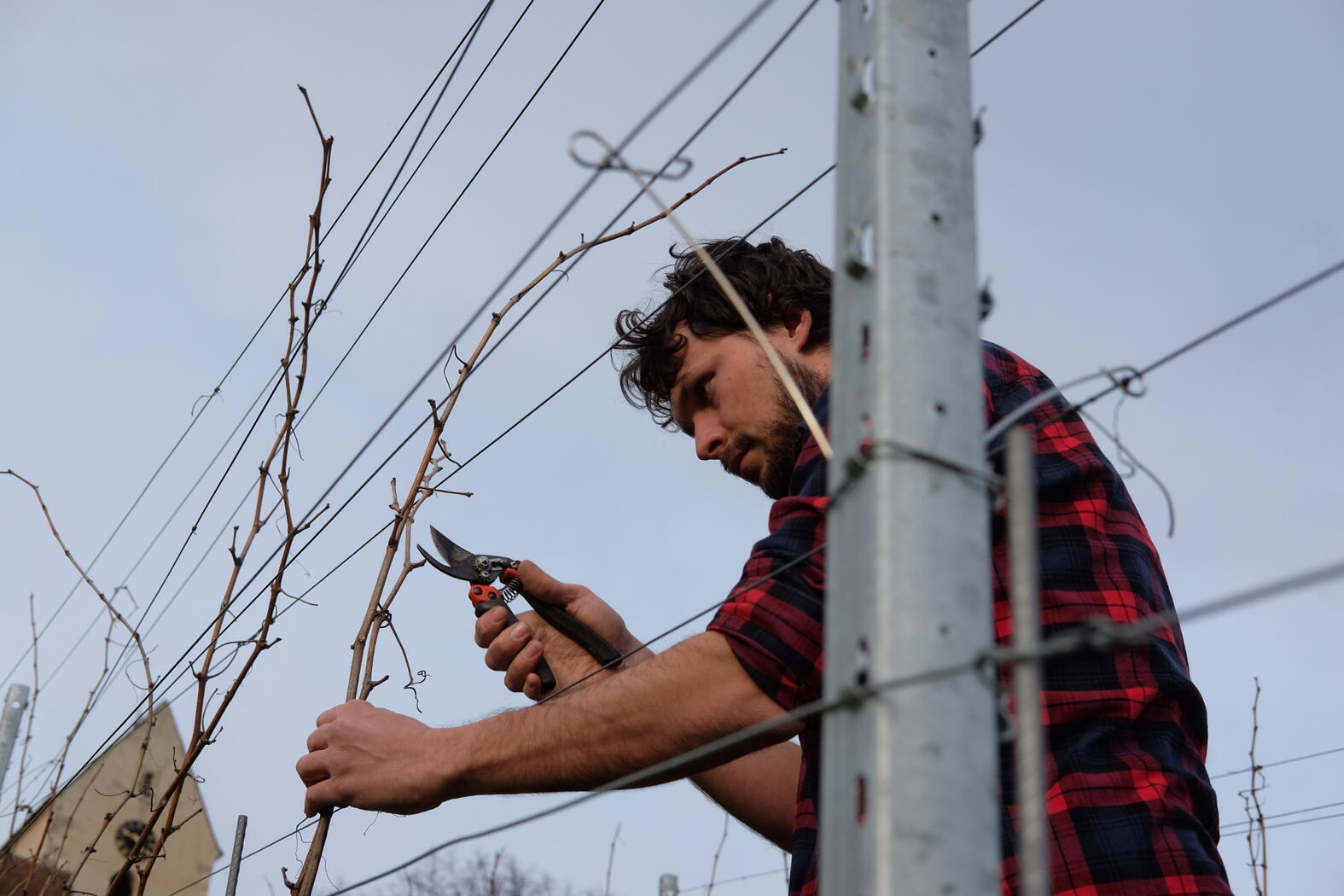 Weingut Claus Schneider Terroir