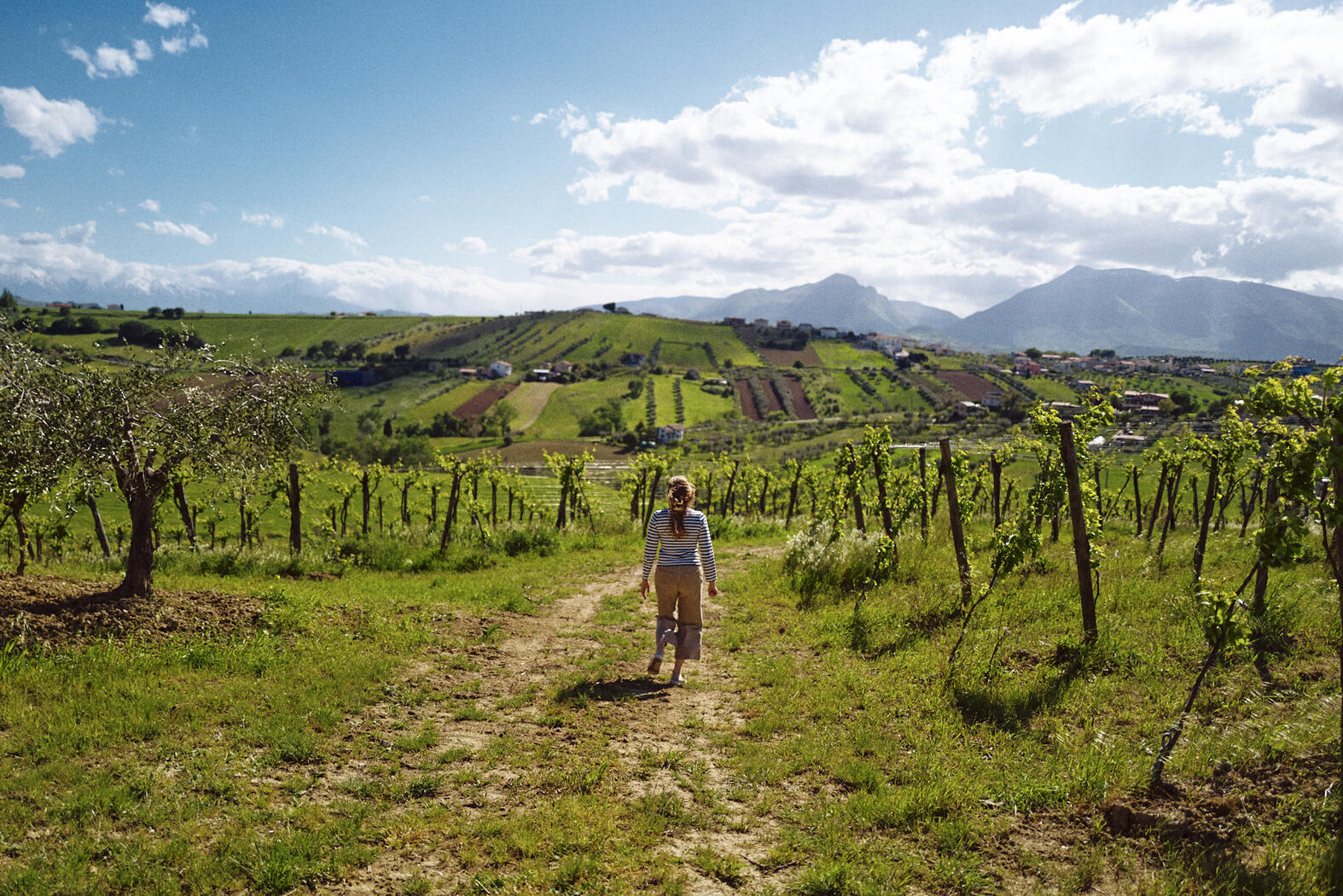 Weingut Emidio Pepe Terroir