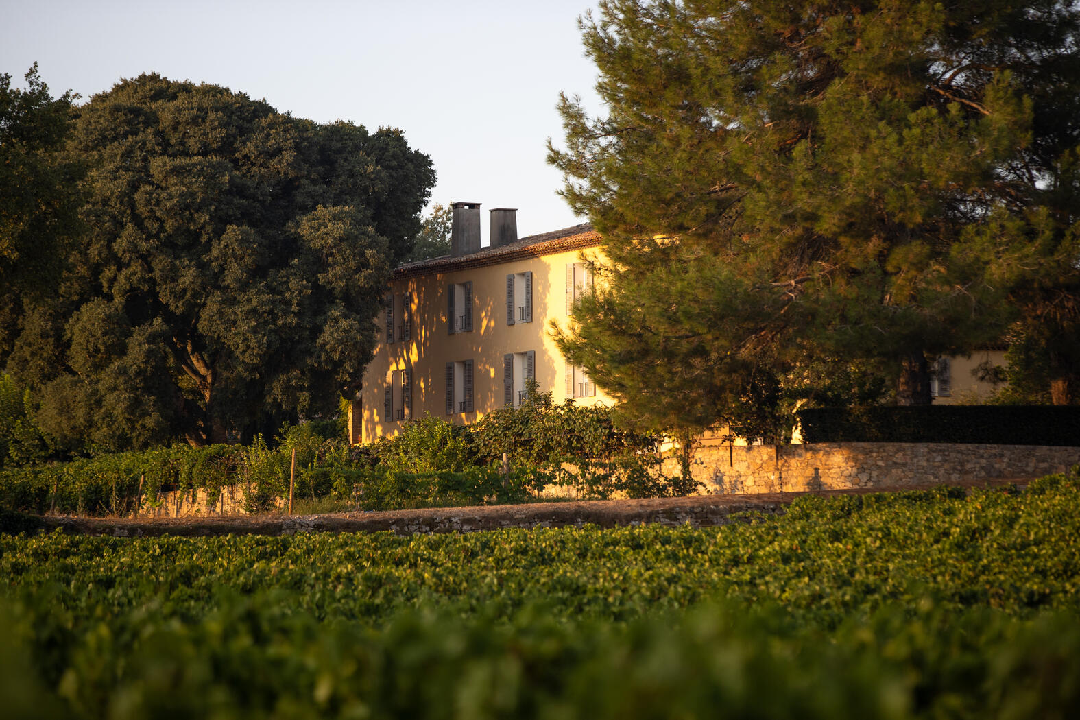 Weingut La Mascaronne