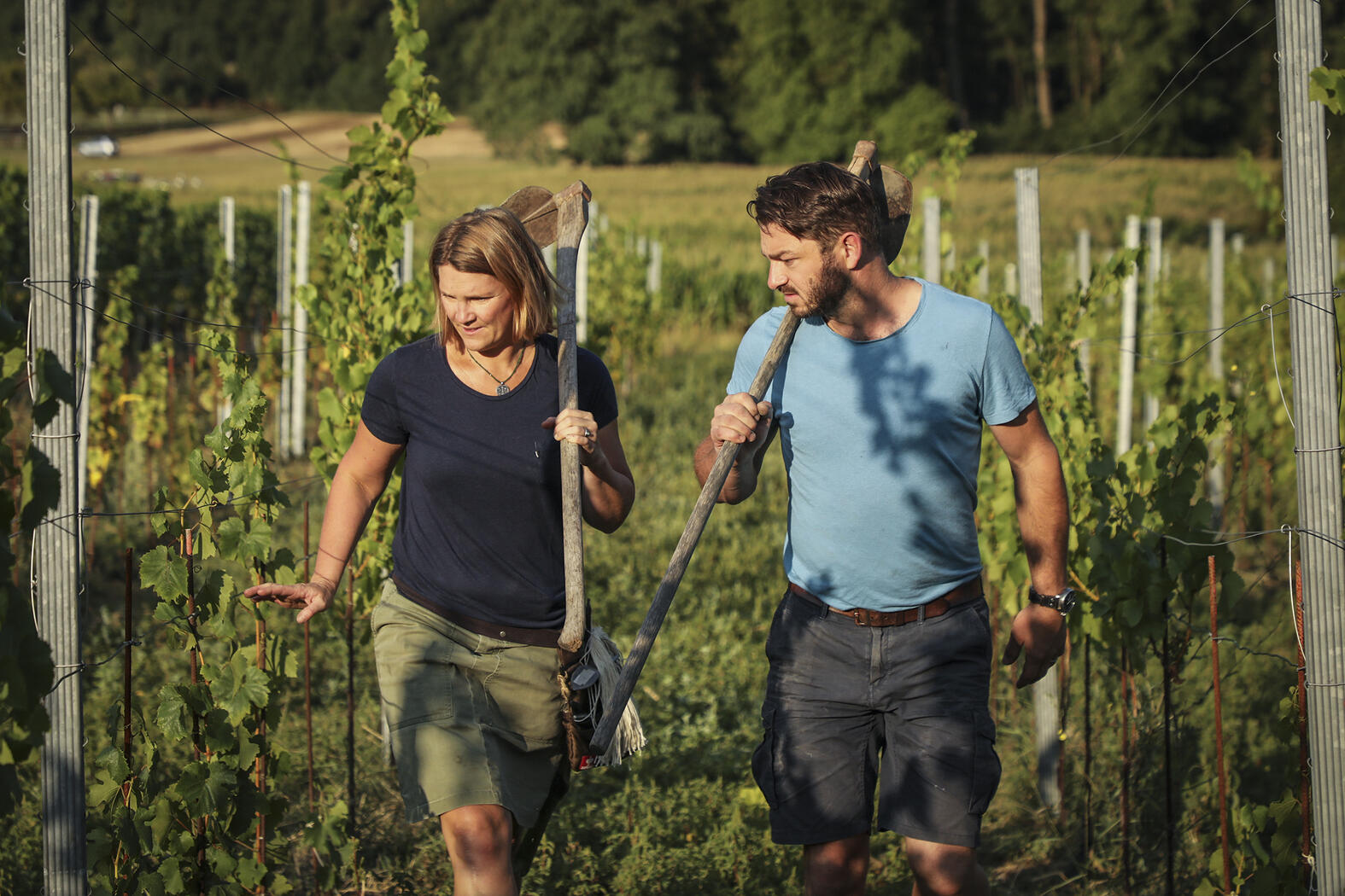 Weingut Obrecht