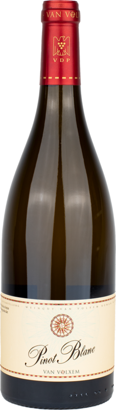 Pinot Blanc