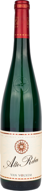 Riesling "Alte Reben"