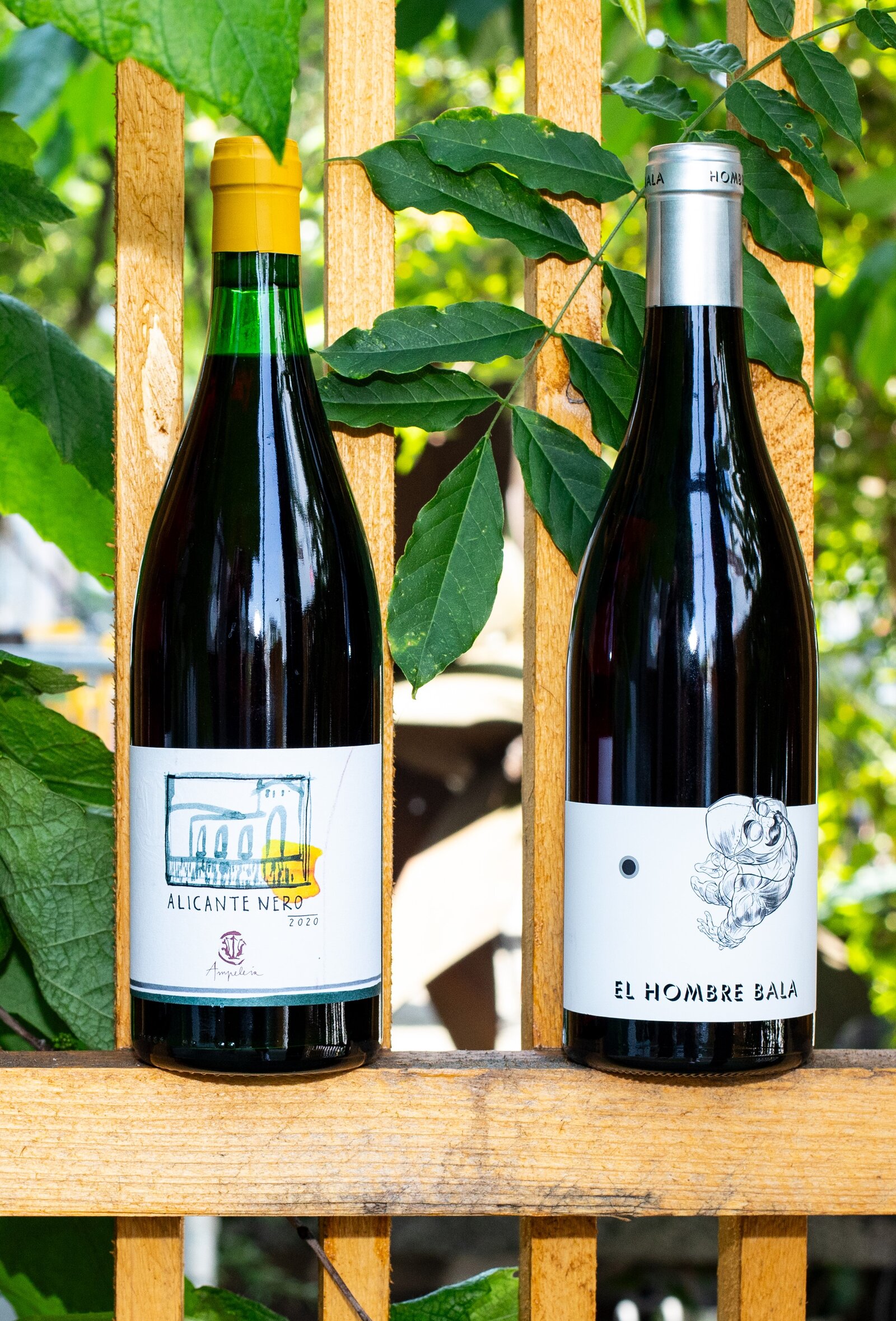 In Grenache we trust